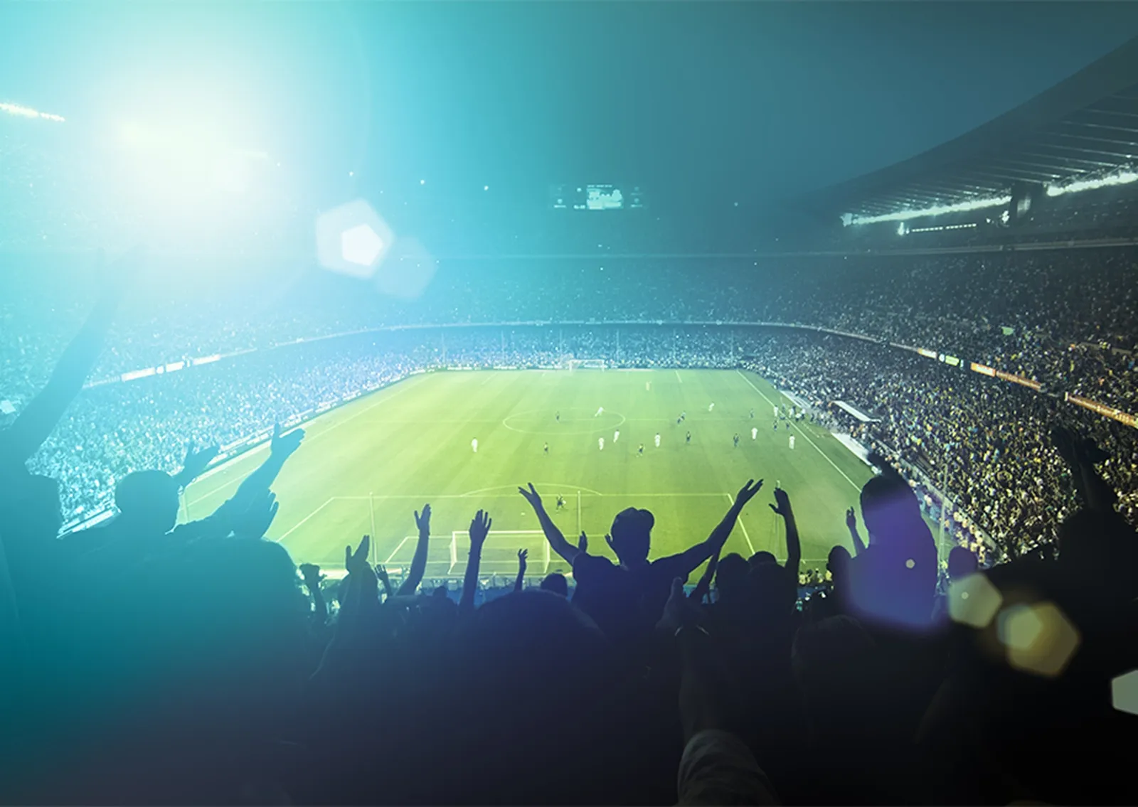 Enjoy the spirit of the stadium