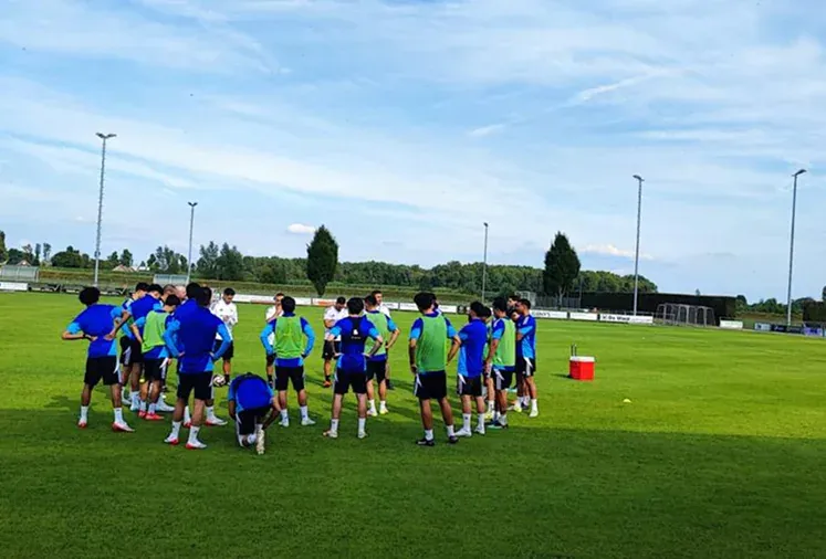 Professional Training Camps
